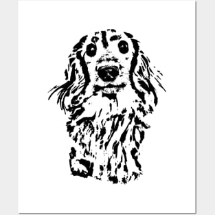 Long Haired Dachshund Sketch Posters and Art